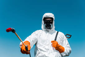 Best Fumigation Services  in Vienna, GA